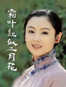 霜叶红似二月花电视剧海报