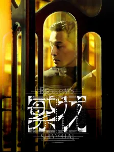 繁花[沪语版]电视剧海报