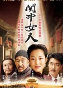 关中女人电视剧海报