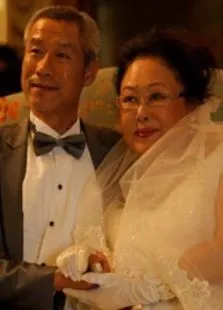 我的极品老妈电视剧海报