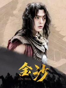 金沙电视剧海报