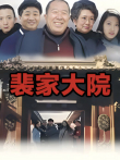裴家大院电视剧海报