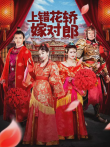 上错花轿嫁对郎电视剧海报