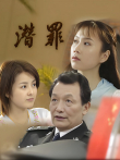 潜罪电视剧海报