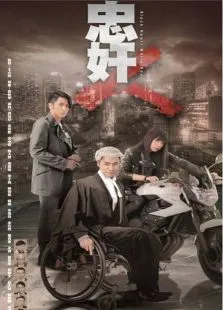忠奸人电视剧海报