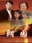 朗园电视剧海报