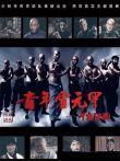 青年霍元甲之冲出江湖DVD版电视剧海报