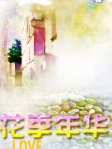 花季年华电视剧海报