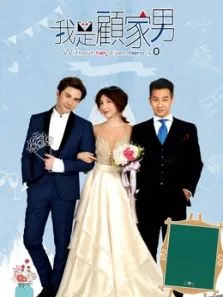 我是顾家男电视剧海报