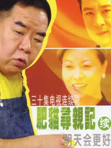 肥猫寻亲记第二部电视剧海报