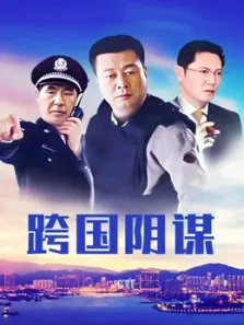 跨国阴谋电视剧海报