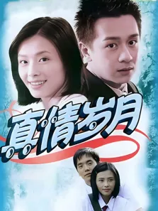 真情岁月电视剧海报