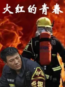 火红的青春电视剧海报