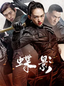 蝶影电视剧海报