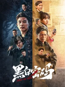黑白密码电视剧海报
