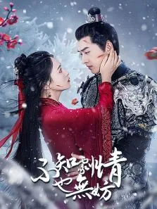 不知剧情也无妨电视剧海报