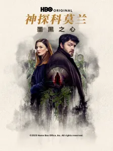 神探科莫兰：墨黑之心电视剧海报
