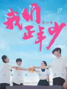 我们正年少电视剧海报