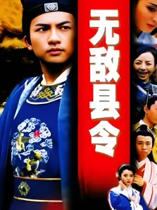 无敌县令电视剧海报