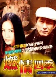 燃情四季电视剧海报