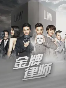 金牌律师电视剧海报