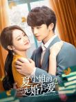 夏小姐的先婚后爱2电视剧海报