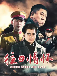 往日情怀电视剧海报