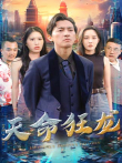 天命狂龙电视剧海报
