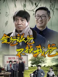 金爸银爸不换我爸电视剧海报