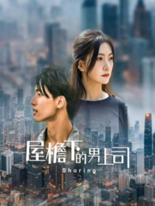 �����µ�����˾