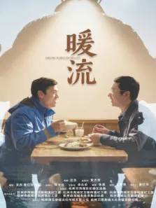 暖流电视剧海报