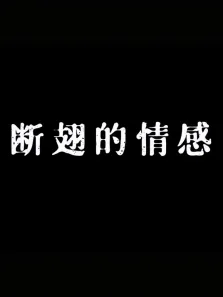 断翅的情感电视剧海报
