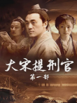 大宋提刑官第一部电视剧海报