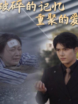 破碎的记忆重聚的爱电视剧海报