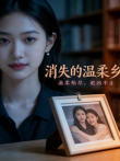 消失的温柔乡电视剧海报