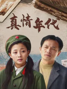 真情年代电视剧海报