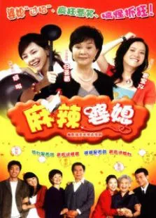 麻辣婆媳第一部电视剧海报