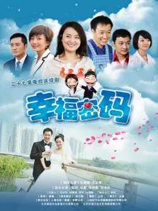 幸福密码电视剧海报