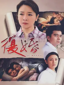 复婚电视剧海报