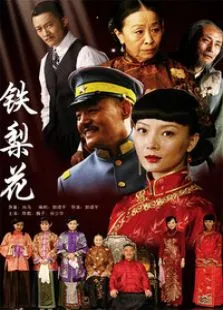 铁梨花电视剧海报