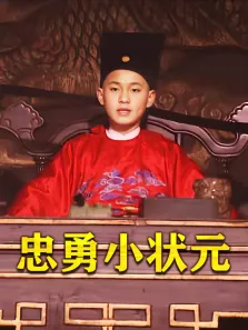 忠勇小状元电视剧海报