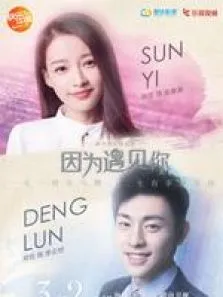 因为遇见你未删减版电视剧海报