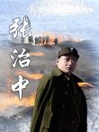 张治中电视剧海报