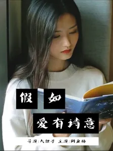 假如爱有诗意电视剧海报