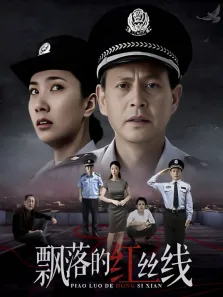 飘落的红丝线电视剧海报
