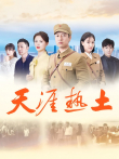 天涯热土电视剧海报