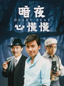 暗夜心慌慌电视剧海报