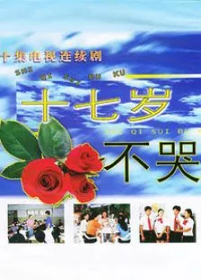 十七岁不哭电视剧海报