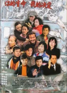 你的生命我的决定电视剧海报