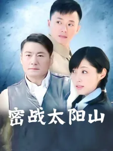密战太阳山电视剧海报